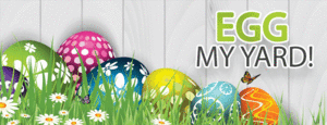 Egg My Yard - Senior Fundraiser