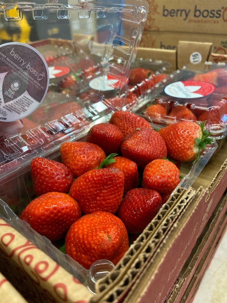 Fresh Florida Strawberries