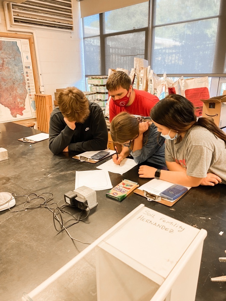 Food Science team working on their team project.