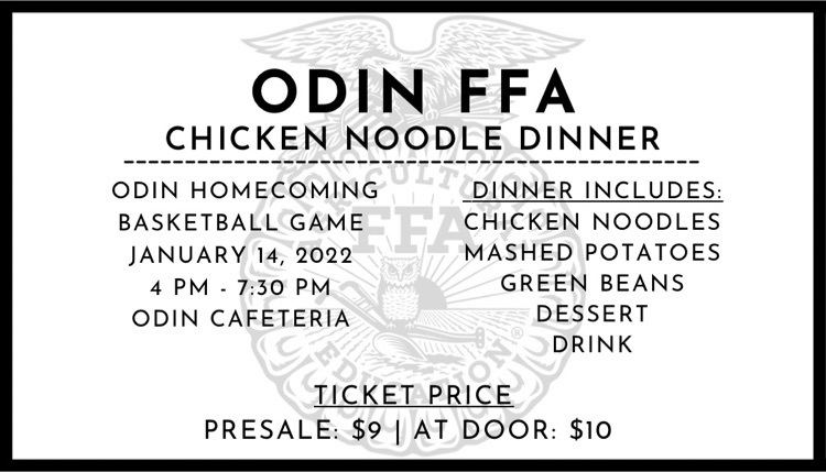Odin FFA Chicken Noodle Dinner